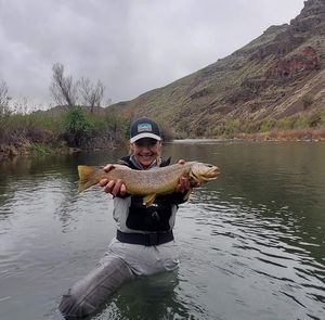 Meet your Posher, Brandie